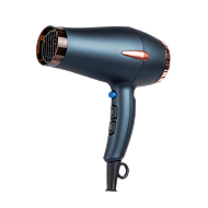 SilkSmooth Pro Hair Dryer