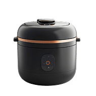 SmartSteam Rice Cooker